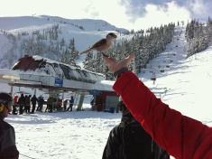 2011-02-17-Whistler ski trip with Mussattos-11.jpg